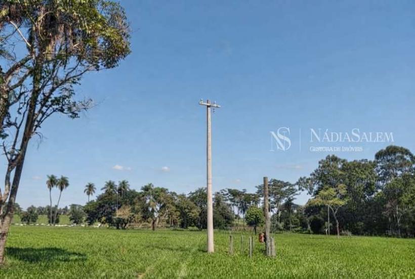 Fazenda Á Venda  - Fazenda